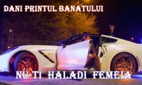DANI PRINTUL BANATULUI - Nu-ti haladi femeia