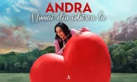 Andra - Numai Din Iubirea Ta