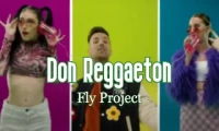 FlyProject - Don Reggaeton