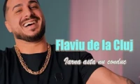 Flaviu de la Cluj - Iarna asta nu conduc
