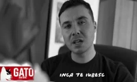 GATO - Inca te iubesc