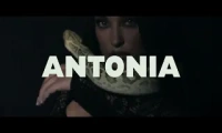 ANTONIA - Prieteni